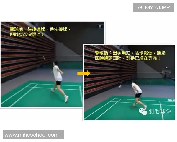 深圳羽毛球队区域防守战术解析与实战应用探讨